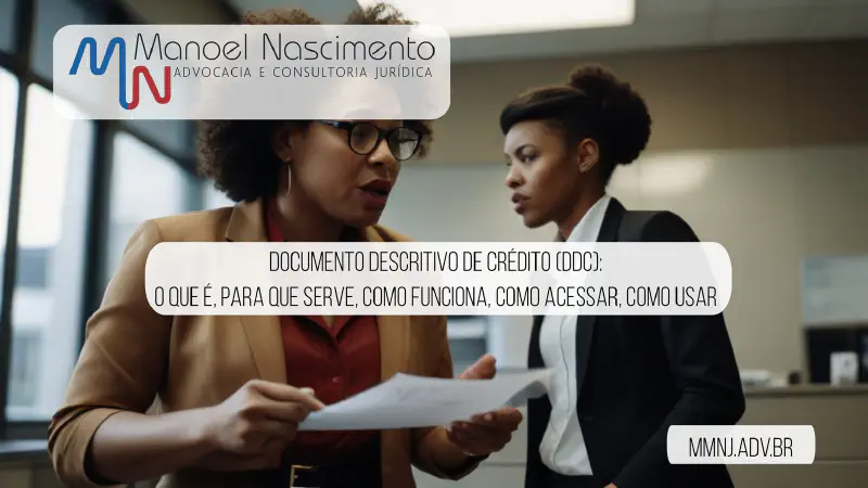 Documento Descritivo de Credito (DDC): o que é, para que serve, como funciona, como acessar, como usar